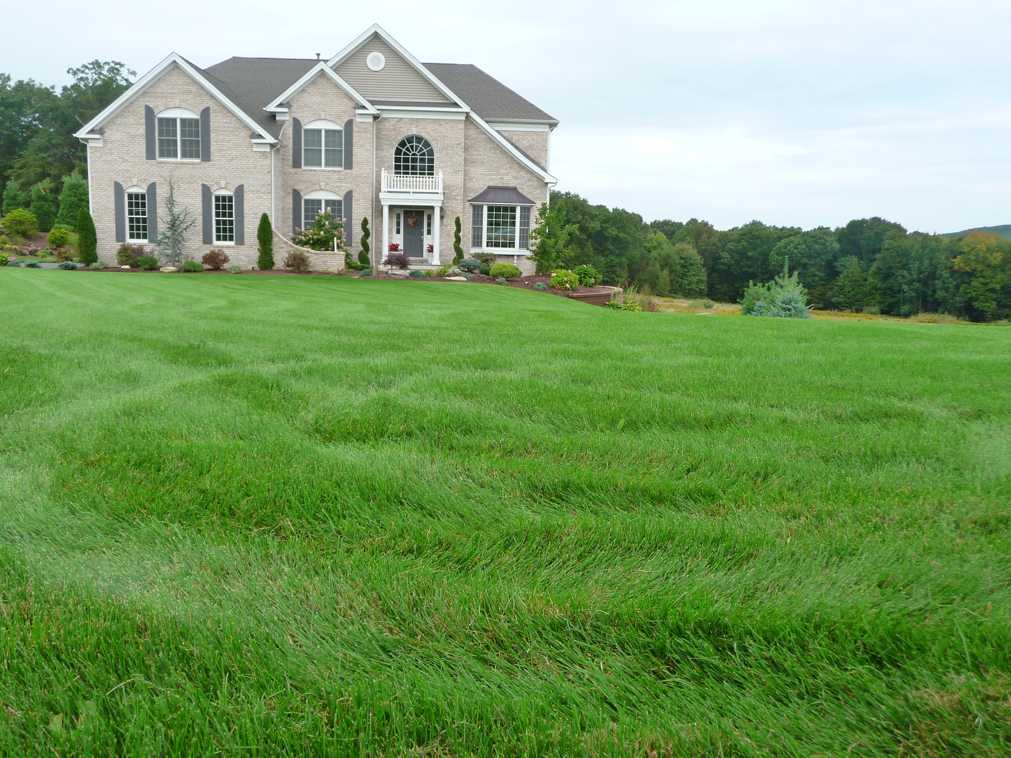 Click here to get a 100% free estimate. Click here to get a 100% free estimate.